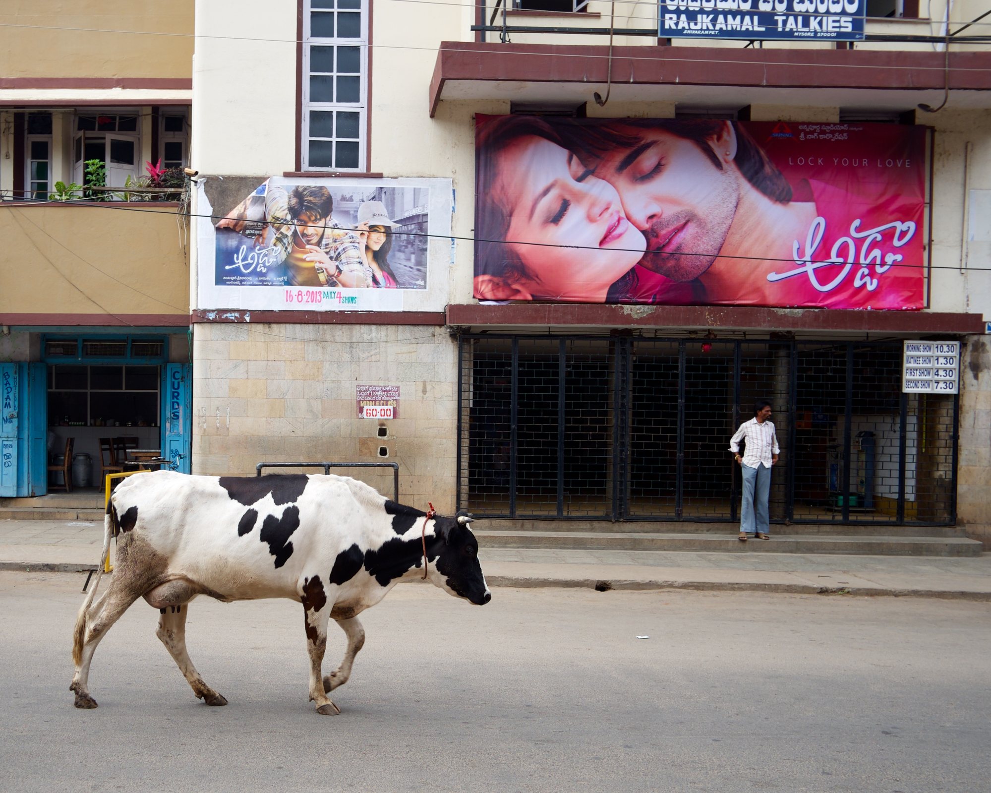 Vache traversant une rue devant un cinéma, Mysore, Inde