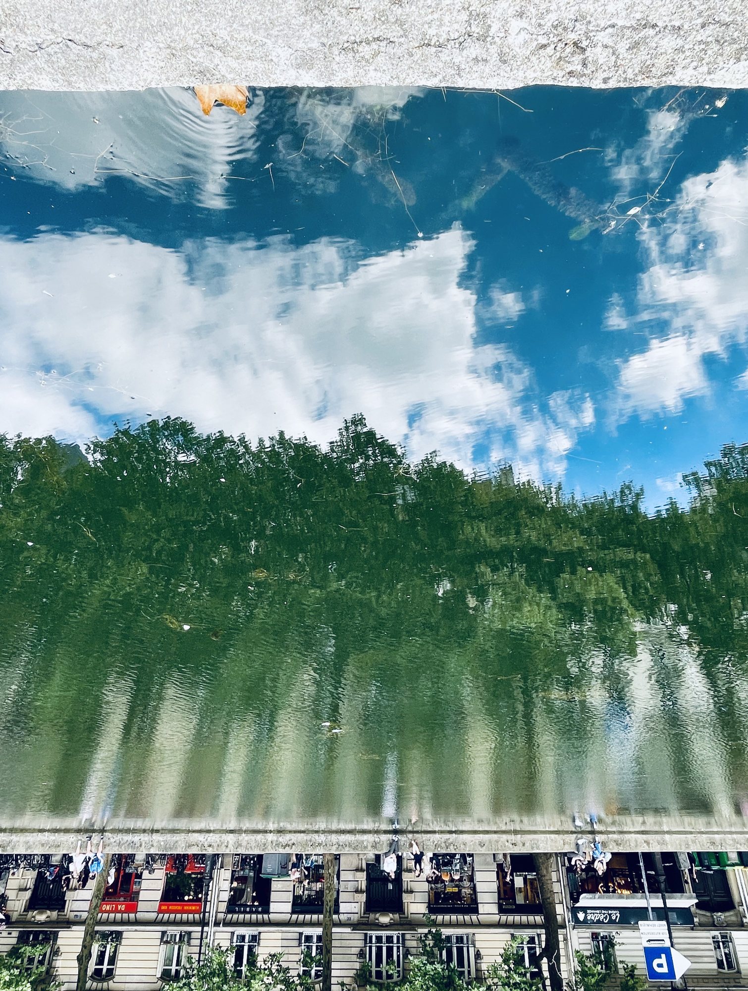 Reflet d'arbres dans l'eau, Paris